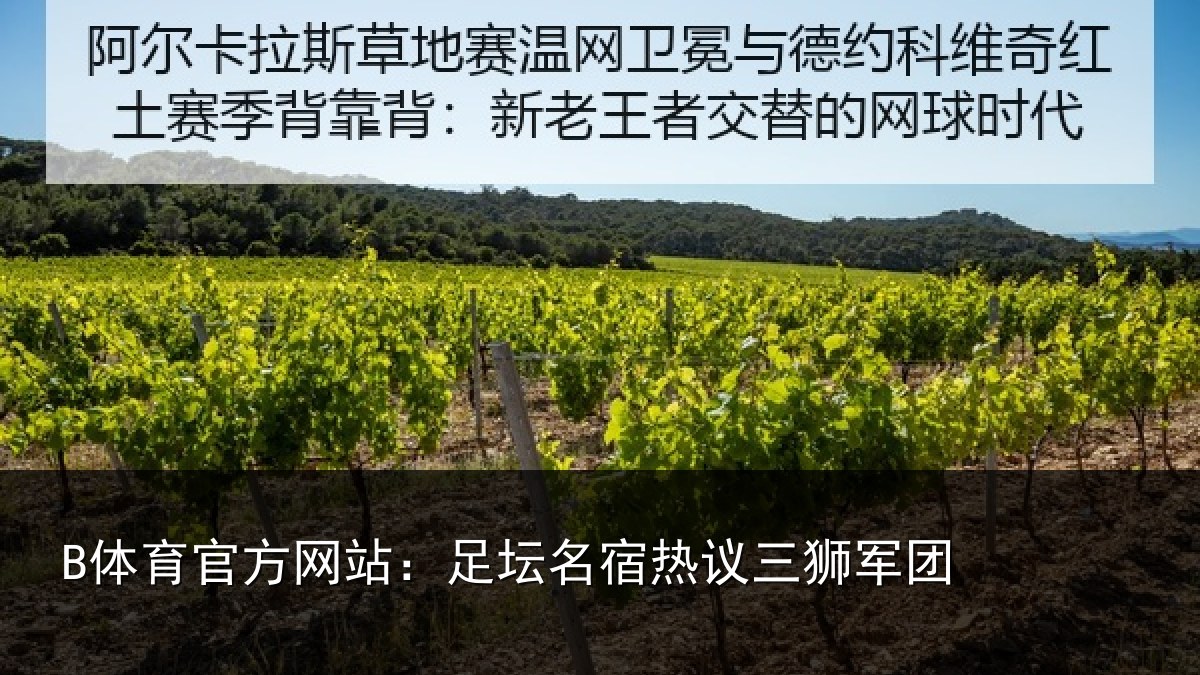 B体育官方网站:足坛名宿热议三狮军团