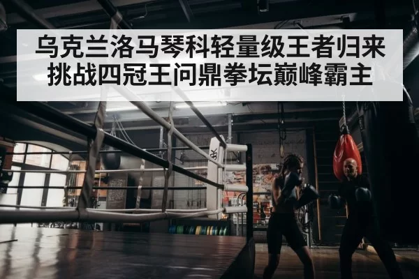 boxer training