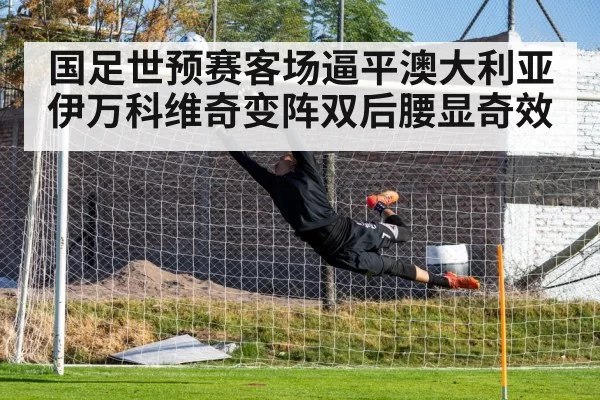 goalkeeper diving save